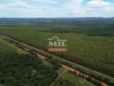 Fazenda/Sítio à venda, 500m² no Setor Central, Goiatins