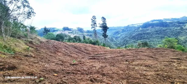 Fazenda/Sítio à venda, 213000m² no , Alfredo Wagner