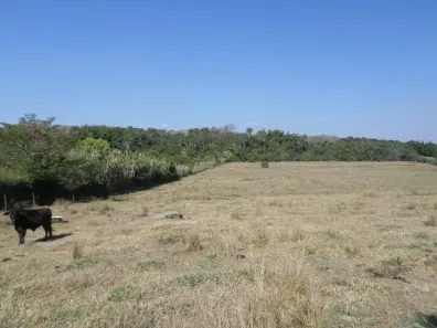 Fazenda/Sítio à venda, 10000m² no , Betim