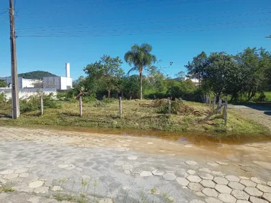 Lote/Terreno à venda, 451m² no Aririú, Palhoça