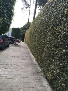 Fazenda/Sítio com 8 Quartos à venda, 2100m² no Balneária, São Bernardo do Campo
