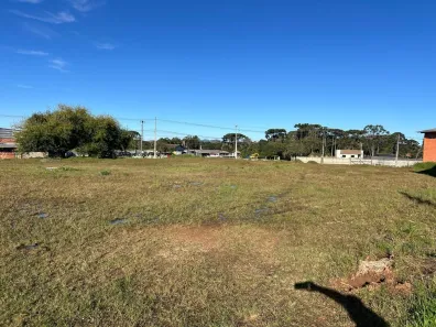 Galpão/Depósito/Armazém à venda, 1600m² no Colonia Marcelino, São José dos Pinhais