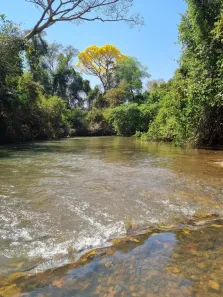 Fazenda/Sítio com 3 Quartos à venda, 210m² no Vila Santa Maria - Conjunto Caiçara, Goiânia