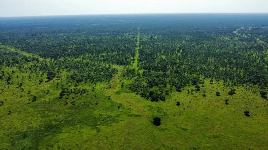 Fazenda/Sítio à venda, 5200000m² no , Rio Negro