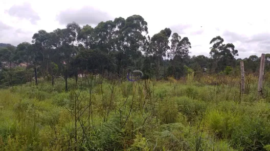 à venda, 189598m² no Jardim São Domingos, Guarulhos