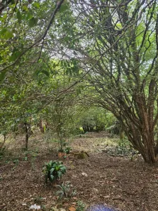 Casa com 3 Quartos à venda, 153m² no Vila Faria, São Carlos