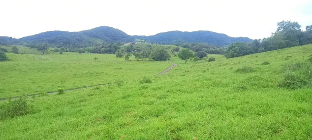 Fazenda/Sítio à venda, 20m² no , Registro