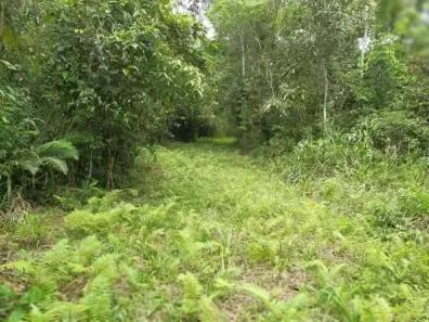 Lote/Terreno à venda, 403489m² no Centro, Morretes