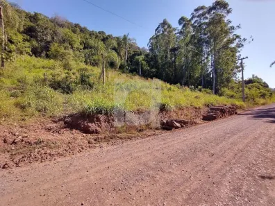 à venda, 90000m² no Sertão Capivara, Portão