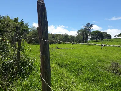Fazenda/Sítio à venda, 20000m² no , Caeté