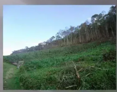 Fazenda/Sítio à venda, 919600000m² no , Rio Branco do Sul