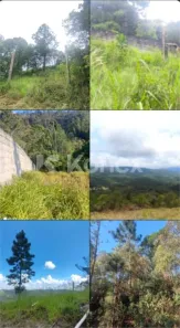 Lote/Terreno à venda, 1450m² no Mata Fria, Mairiporã