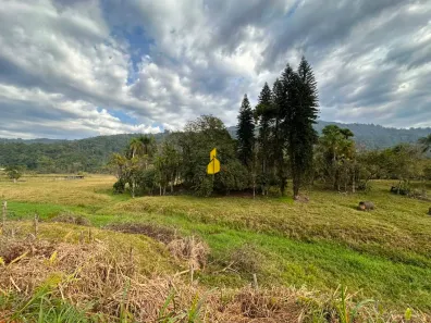Lote/Terreno à venda, 4145m² no Araponguinhas, Timbó