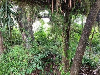 Lote/Terreno à venda, 200m² no Jurerê Internacional, Florianópolis