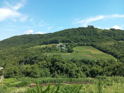 Fazenda/Sítio à venda, 23732m² no Nova Petrópolis, Nova Petrópolis