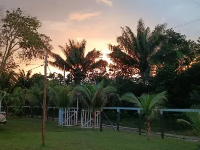 Fazenda/Sítio com 2 Quartos à venda, 500m² no , Rio Preto da Eva