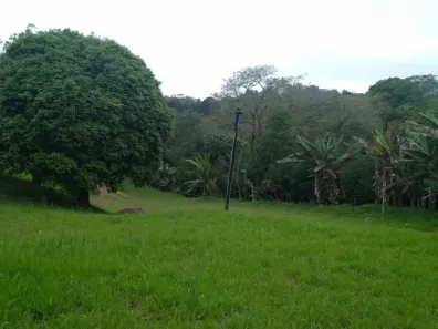 Fazenda/Sítio com 5 Quartos à venda, 17000m² no Santa Inês, Mairiporã