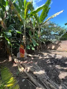 Fazenda/Sítio com 3 Quartos à venda, 1000m² no Valparaíso, Uberlândia