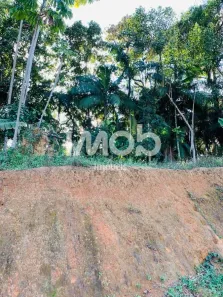 Lote/Terreno à venda, 2539m² no Avaí, Guaramirim