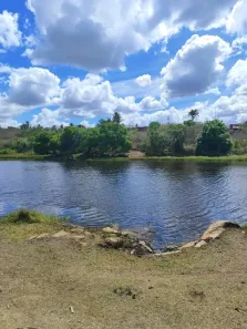 Fazenda/Sítio com 3 Quartos à venda, 1500000m² no , Pedro Velho