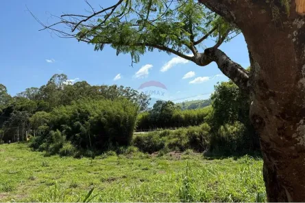 Lote/Terreno à venda, 1077m² no , Tuiuti