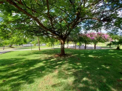 Apartamento com 2 Quartos à venda, 46m² no Jardim Nações Unidas, Londrina