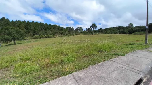 Lote/Terreno à venda, 3500m² no Centro, Quatro Barras
