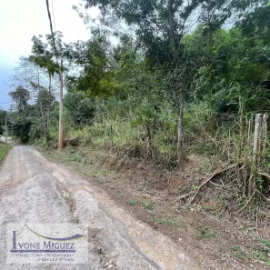 Lote/Terreno à venda, 20786m² no Cinco Lagos, Mendes