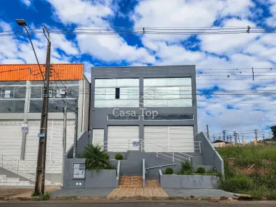 Galpão/Depósito/Armazém com 1 Quarto para alugar, 250m² no Oficinas, Ponta Grossa