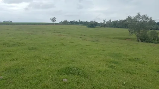 Fazenda/Sítio com 1 Quarto à venda, 121000m² no , Cesário Lange