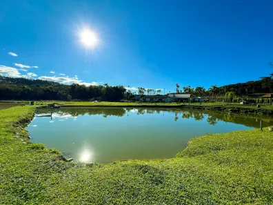 Fazenda/Sítio à venda, 10000m² no Jardim Santo Antonio, Bocaiúva do Sul