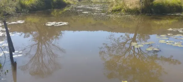Fazenda/Sítio com 3 Quartos à venda, 10000m² no , Cláudio