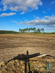 Lote/Terreno à venda, 620421m² no SANTA CRUZ, São João do Itaperiú