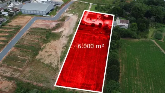 Lote/Terreno à venda, 6000m² no Jardim das Palmeiras, Campo Largo
