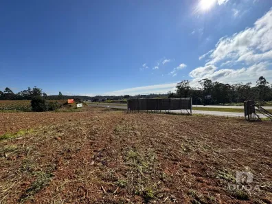 Imóvel Comercial à venda, 86842m² no Morro Estevão, Içara