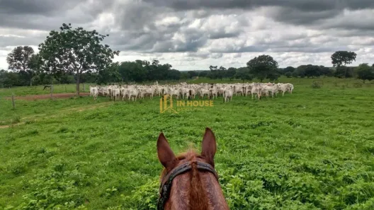 Fazenda/Sítio com 4 Quartos à venda, 300m² no Centro, Santa Fé de Minas