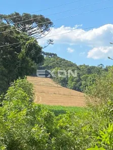 Lote/Terreno à venda, 20000m² no Bateias, Campo Largo
