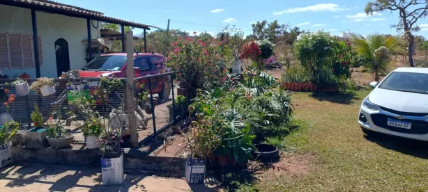 Fazenda/Sítio com 3 Quartos à venda, 20000m² no Zona Cívico-Administrativa, Brasília