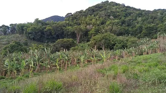 Fazenda/Sítio com 2 Quartos à venda, 193600m² no Rio Seco (Bacaxá), Saquarema