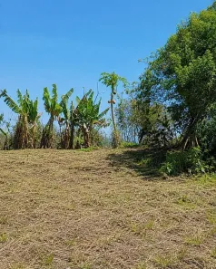 Lote/Terreno à venda, 3365m² no Warta, Londrina