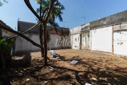 Lote/Terreno para alugar, 135m² no Vila Carrão, São Paulo
