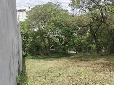 Lote/Terreno à venda, 588m² no Rolinópolis, São Paulo
