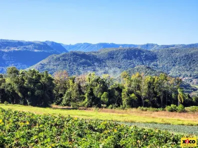 Fazenda/Sítio com 1 Quarto à venda, 5000m² no Linha Araripe, Nova Petrópolis