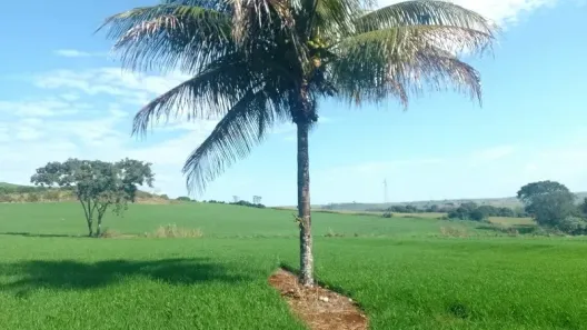 Fazenda/Sítio à venda, 121000m² no , Marialva