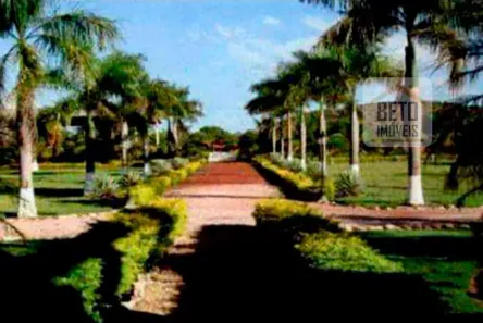 Fazenda/Sítio à venda, 384200000m² no , Cocalinho