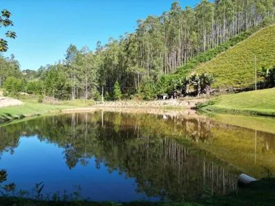 Lote/Terreno à venda, 20000m² no , Domingos Martins
