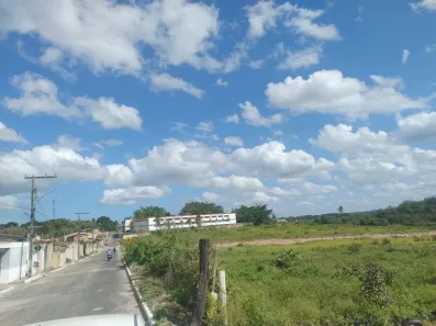 Lote/Terreno à venda, 51000m² no Alagoinhas Velha, Alagoinhas