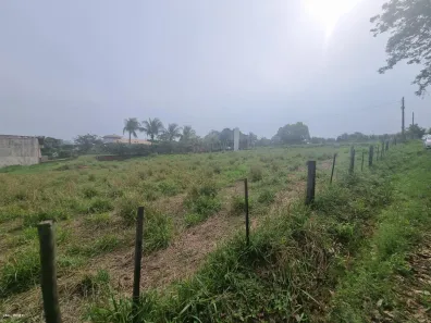 Fazenda/Sítio à venda, 1000m² no , Álvares Machado