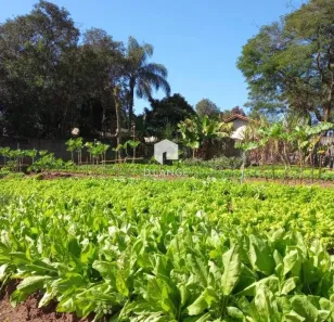 Lote/Terreno à venda, 1466m² no Village Campinas, Campinas