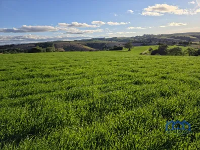 Fazenda/Sítio com 1 Quarto à venda, 1161600m² no Área Rural de Itapetininga, Itapetininga